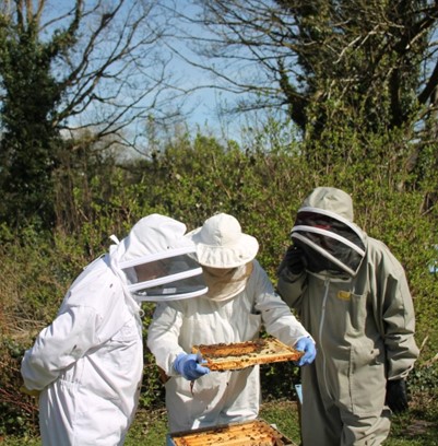 /corkcityco/en/council-services/news-room/latest-news/cork-county-beekeepers-association.jpg