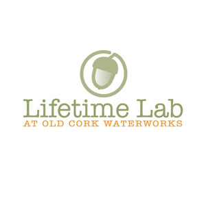 Lifetime Lab 