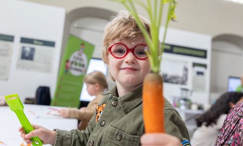 Cool Food School