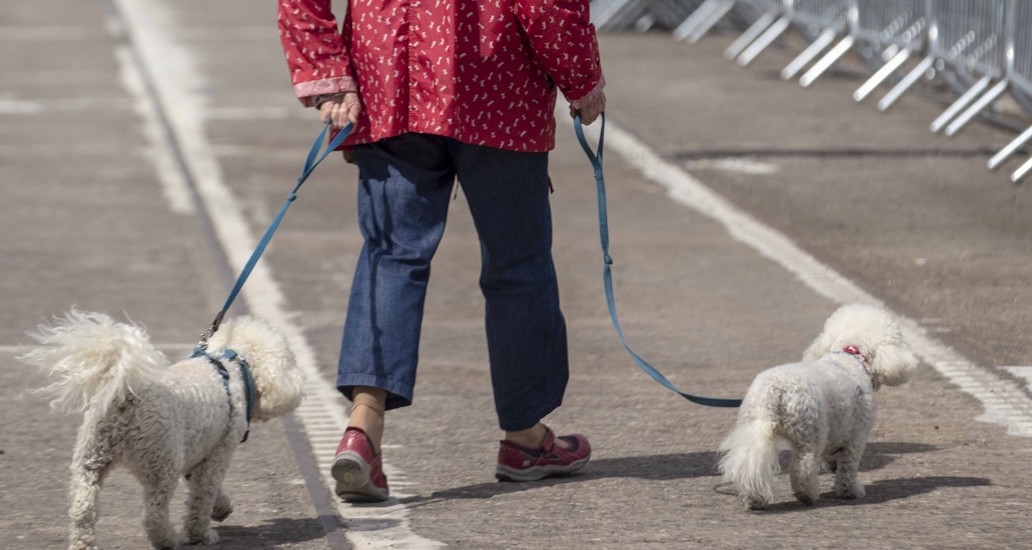 CMK09062019 Seafest Twitter 00024 Square (1)