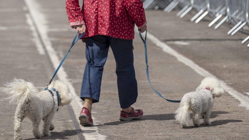 CMK09062019 Seafest Twitter 00024 Square (1)