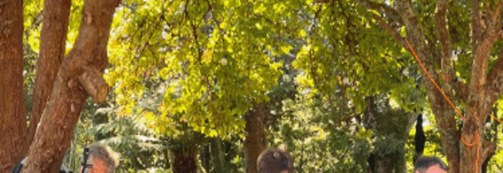 Arundó Trad Music Marina Market