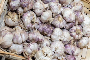 DK20250820 Englishmarket 188