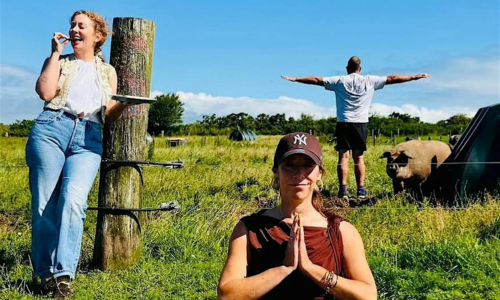 People doing yoga in a field