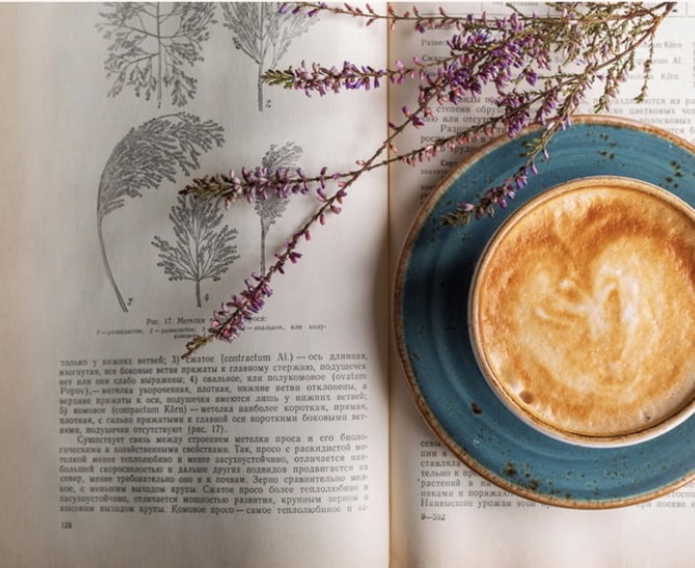 Nature Connection Book Club Image Only
