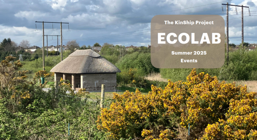 The KinSip EcoLab, a handbuilt shelter with a thatched roof supported by earthen gable walls and columns  is pictured amongst gorse bushes with yellow blooms in Tramore Valley Park under a blue sky with fluffy clouds overhead.