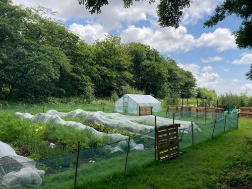 Photo shows a field bordered by tall trees at one side, containing a greehouse and fenced off section with covered raised beds