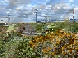 KinShip EcoLab at Tramore Valley Park