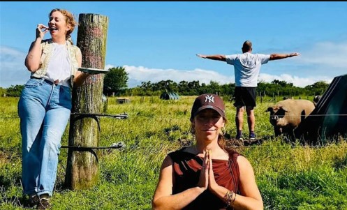People doing Yoga in a field