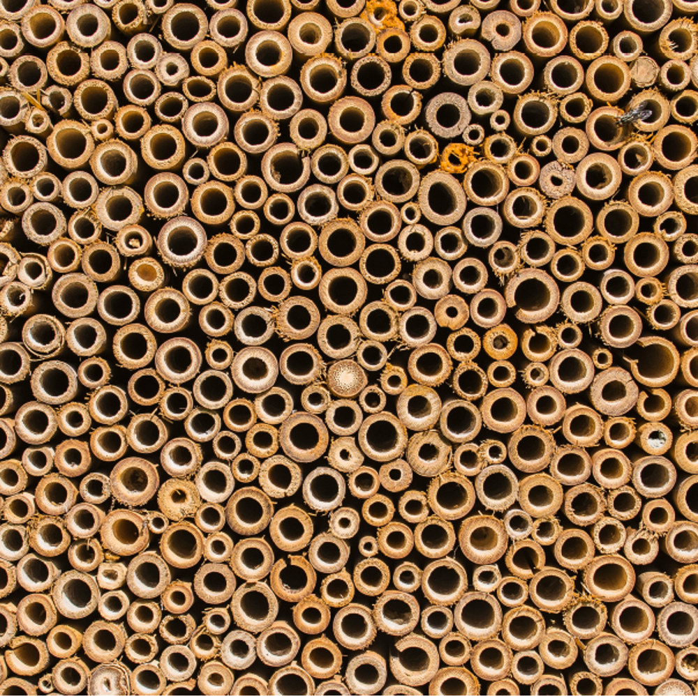 Bug Hotel