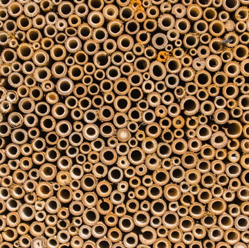 Bug Hotel