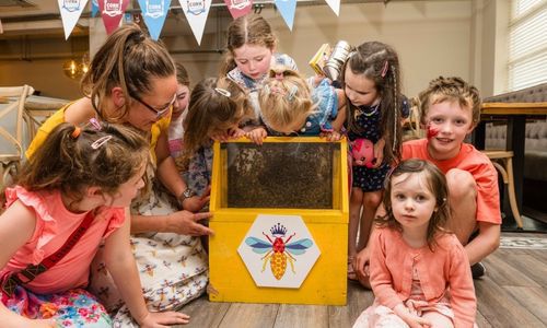 A group of kids admire the bees on display