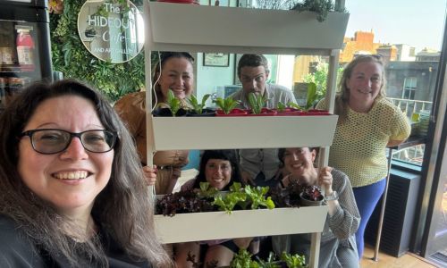 Six people inside the hideout cafe with shelves in front of them with green vegetables growing in small pots