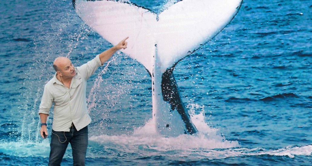 DK09062019 Seafest 236 (2)