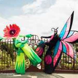 Artimis Productions Cork Carnival Of Science thumbnail