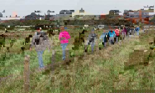 Group walking in a line in Tramore Valley Park