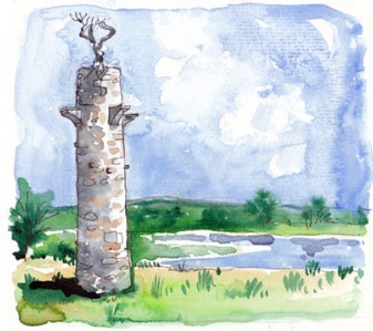 Clogheenmilcon Fen Drawing