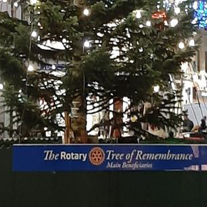 Rotary-3_5
