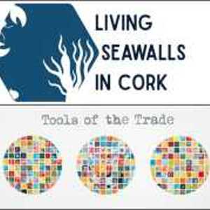 Tools Of The Trade Cork thumbnail