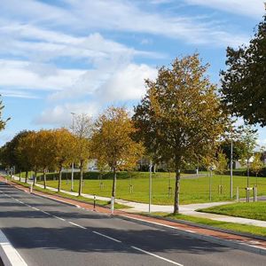 3. Ashwood Green Ringmahon Rd thumbnail