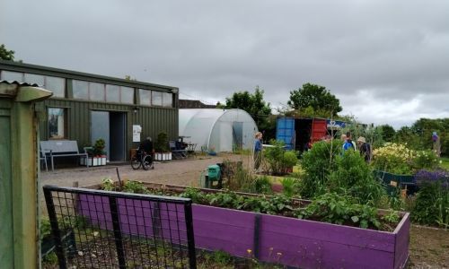 Garden with people walking around looking at the produce