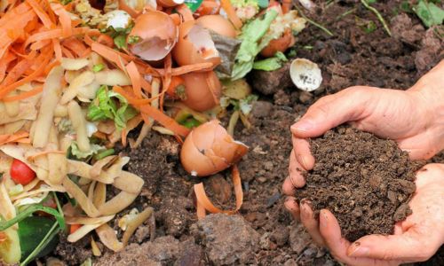 food peels egg shells compost