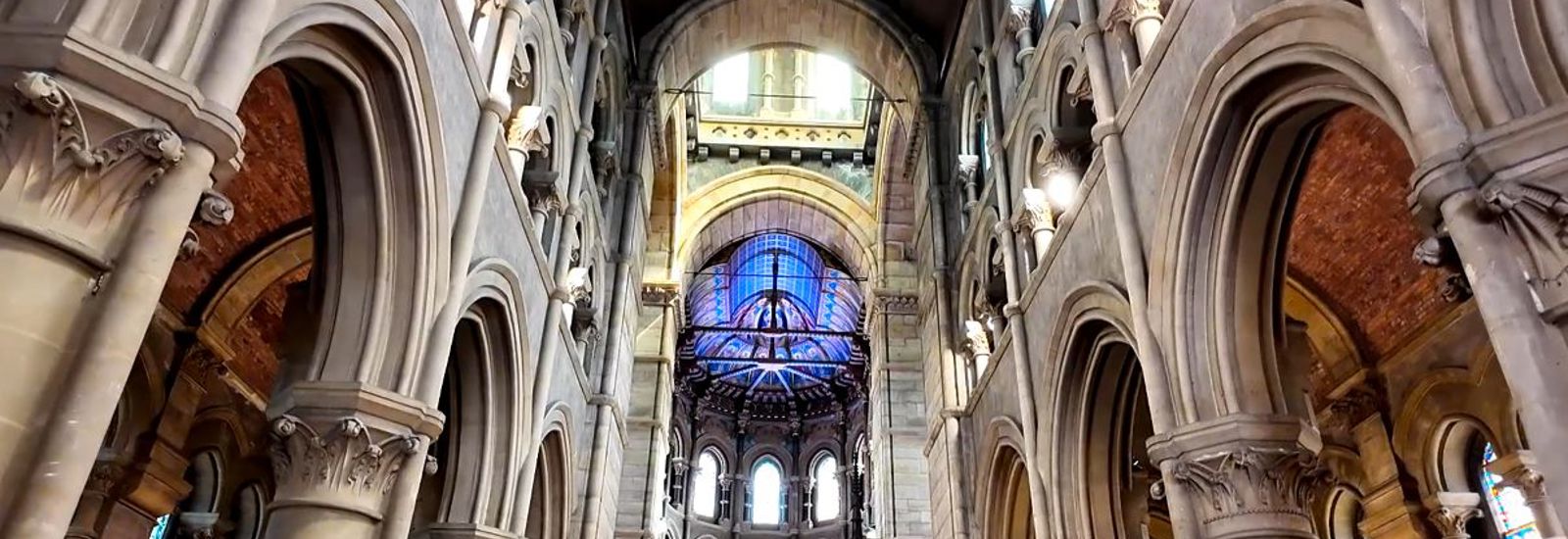 St Fin Barre's Cathedral Image
