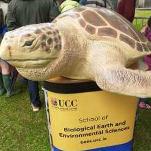 UCC BEES Cork Carnival Of Science thumbnail
