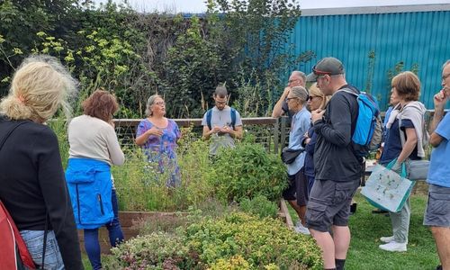 People at talk in herb garden workshop